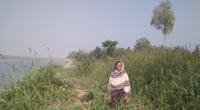 জামালপুরে বাঁধ নির্মাণের দাবি নদীভাঙনে ক্ষতিগ্রস্তদের