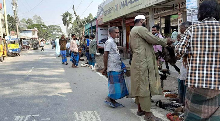 আঞ্চলিক মহাসড়কের উপরে বসছে হাঁস-মোরগের হাট