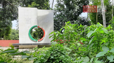 আগাছায় ঢাকা পড়েছে নড়াইলের মুক্তিযোদ্ধা স্মৃতি জাদুঘর