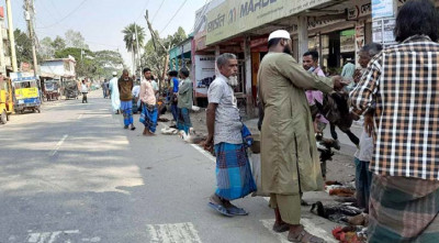 আঞ্চলিক মহাসড়কের উপরে বসছে হাঁস-মোরগের হাট