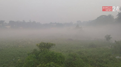 ছবিতে কুয়াশাঘেরা শীতের সকাল