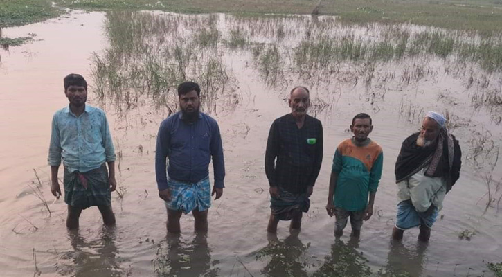 ডিসির হস্তক্ষেপে সাড়ে ৩০০ একর কৃষি জমি জলাবদ্ধতামুক্ত