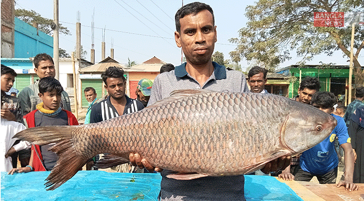 পইলের মেলায় ৩০ কেজির রুই
 