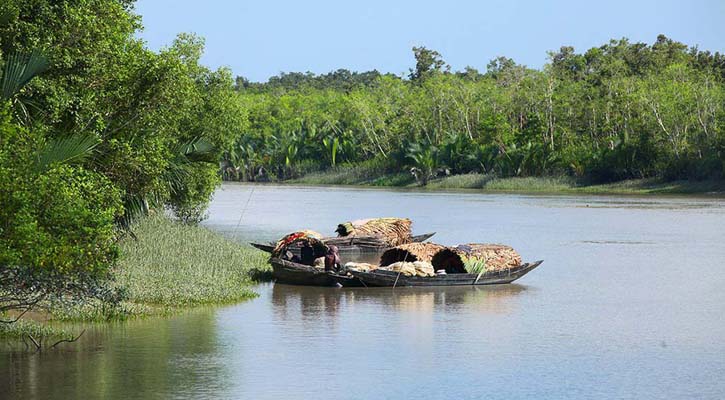 সুন্দরবনের অভয়ারণ্য থেকে ১০ নৌকাসহ ২ জেলে আটক