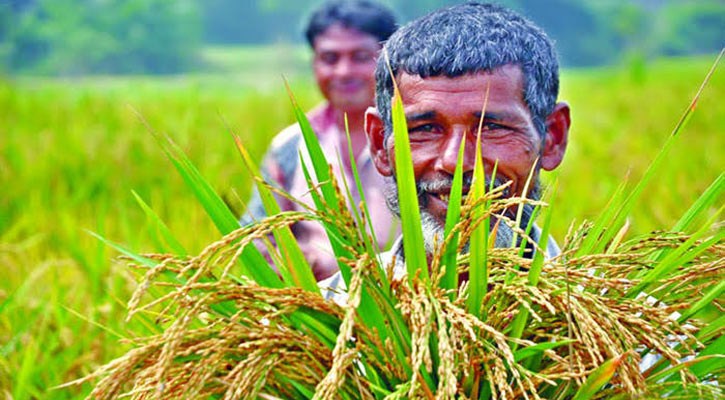 ৬ মাসে কৃষি ঋণ বিতরণ ১৬,৬৭০ কোটি টাকা