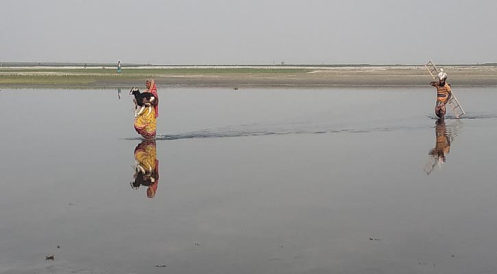 খরস্রোতা তিস্তা এখন মরা খাল, হেঁটেই পারাপার! 