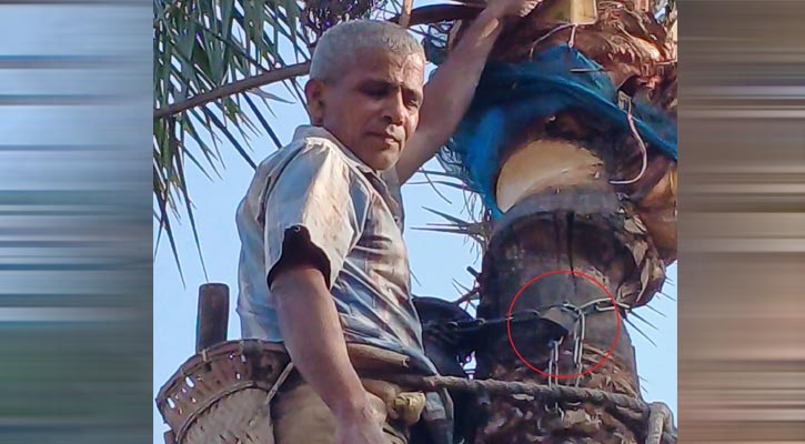 রসের হাড়ি রক্ষায় শেকল দিয়ে তালাবন্দি