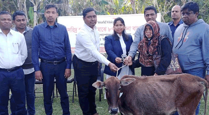 বাগেরহাটে গবাদী পশু পেল ৮৭ হতদরিদ্র পরিবার