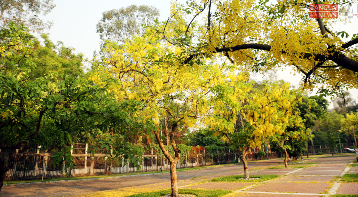 অপরূপ সাজে প্রকৃতি