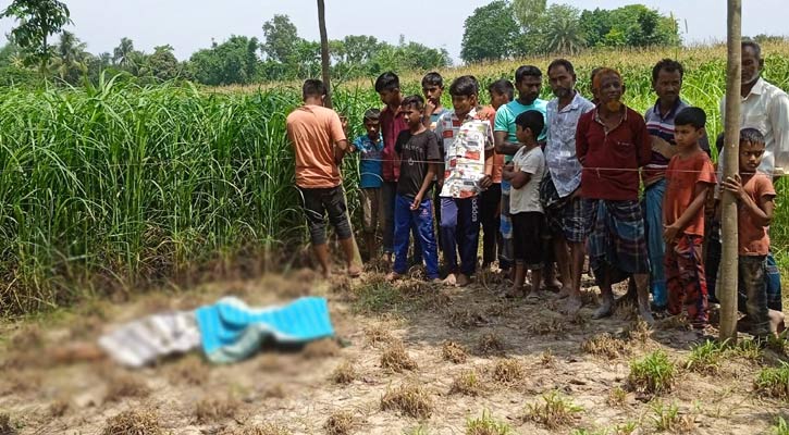 বিরামপুরে ক্ষেতে পড়েছিল বৃদ্ধের মরদেহ