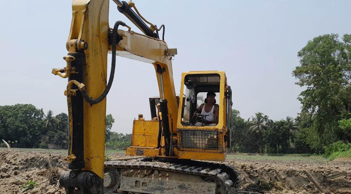 জমির বিরোধে কেটে ফেলা হলো অর্ধশত লিচু গাছ