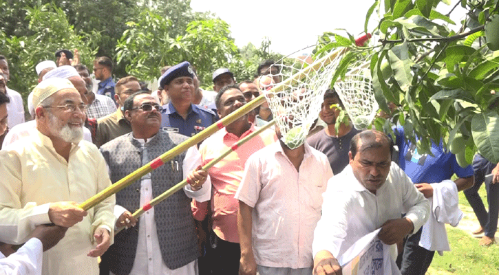 সবাই সস্তায় খেতে চায়, কৃষকের কষ্ট কেউ বুঝতে চায় না: খাদ্যমন্ত্রী 