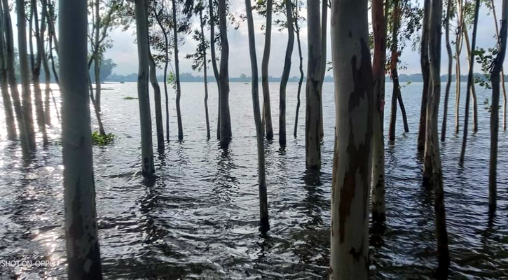 জামালপুরে বিপৎসীমার ৫ সেন্টিমিটার নিচে যমুনার পানি 