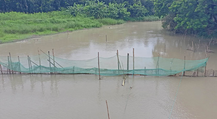 ফরিদপুরে আড়াআড়ি বেড়া দিয়ে মা মাছ ও পোনা নিধন