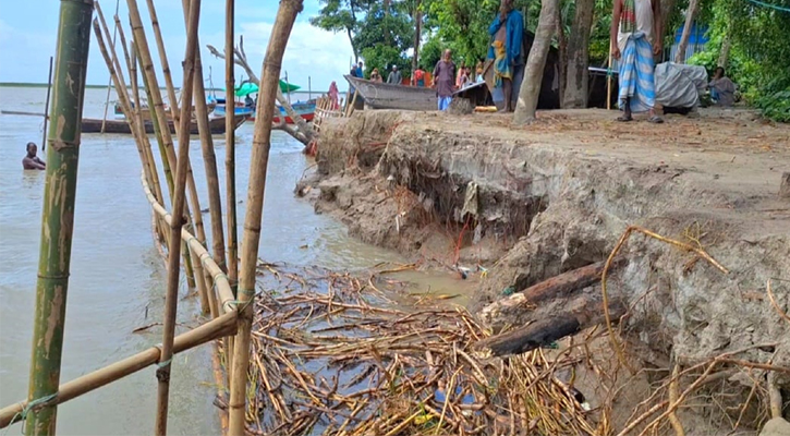 মেঘনার ভাঙনে দিশেহারা শতাধিক পরিবার