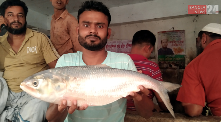 ২ কেজির ইলিশের দাম হাঁকলেন ৯ হাজার, বিক্রি হলো সাড়ে তিন হাজারে