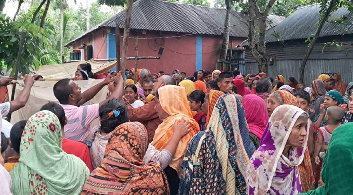 পলাশবাড়ীতে পেয়ারা পাড়তে গিয়ে প্রাণ গেল ২ শিশুর