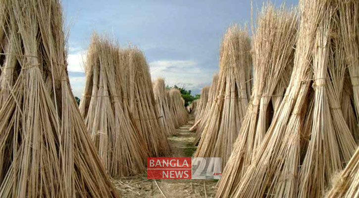 পাটে নয়, স্বস্তি পাটকাঠিতে