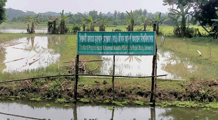 বিশ্বনবীর নামে সাইনবোর্ড টানিয়ে স্কুলের জমি দখল!