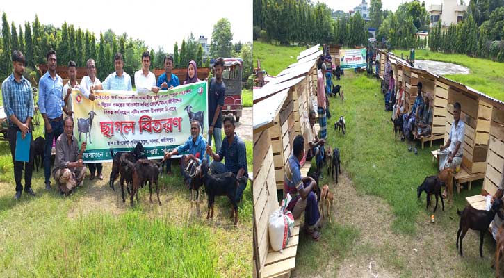 সালথায় জেলেদের মাঝে ছাগল বিতরণে অনিয়মের অভিযোগ