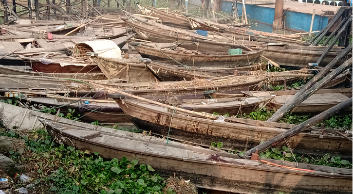 চাঁদপুরে নিলামের অপেক্ষায় কোটি টাকার নৌকা