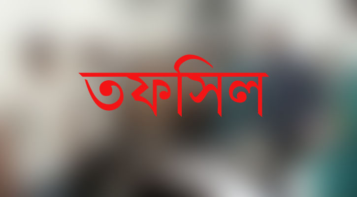 তফসিল ঘোষণা: জেলায় জেলায় আ. লীগের খুশি, বিএনপির রোষ