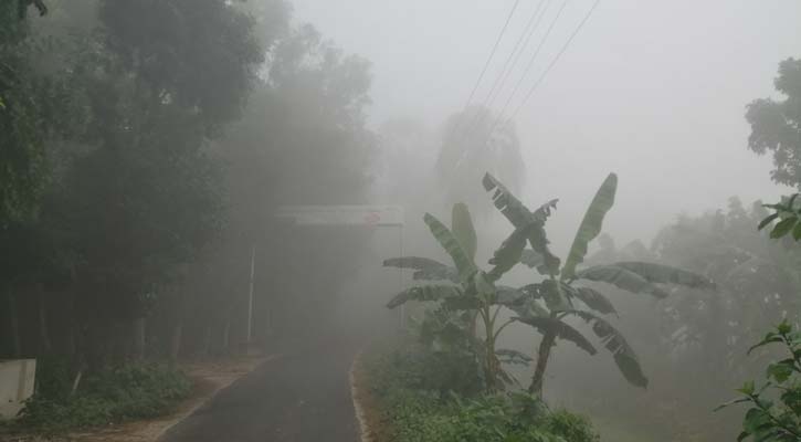 ঘন কুয়াশায় ঢাকা পড়েছে পথঘাট