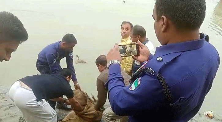 বাগেরহাটে আদালতের নির্দেশে প্রাণ ফিরে পেল ২৫ পরিযায়ী পাখি