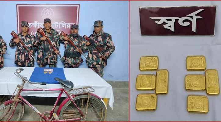 সাতক্ষীরা সীমা‌ন্তে ৮টি স্ব‌র্ণের বার জব্দ 