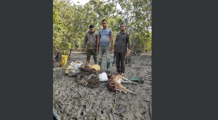 সুন্দরবন থেকে শিকার করা হরিণসহ ৬ বস্তা ফাঁদ উদ্ধার