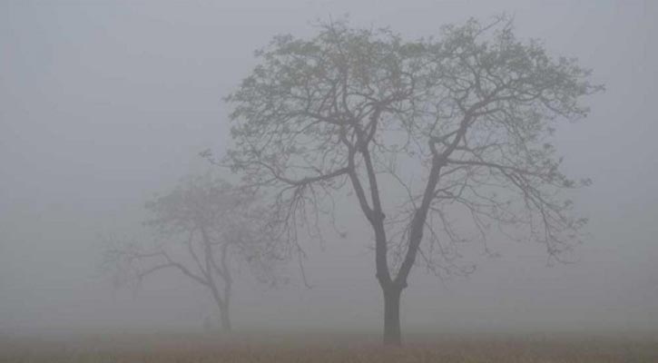 তাপমাত্রা কমে শৈত্যপ্রবাহ বিস্তারের আভাস