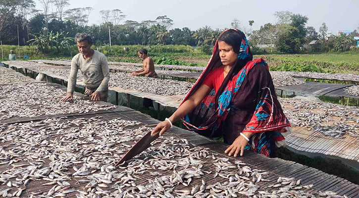 হতাশায় দিন কাটছে শুঁটকিপল্লীর পরিবারগুলোর