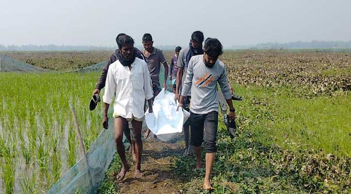 কালিহাতীতে নিখোঁজ হওয়ার ১৭ দিন পর মিলল প্রবাসীর মরদেহ