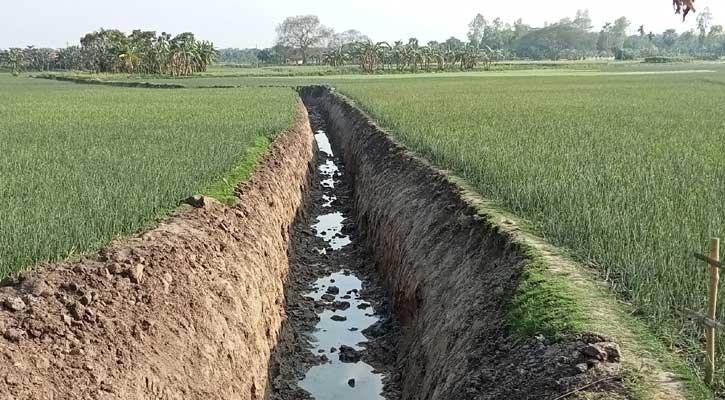 পেঁয়াজ ক্ষেতে খাল খনন করে মাটি বিক্রি করল ইউপি সদস্য