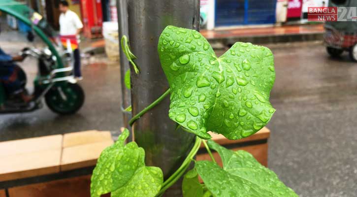 গুঁড়ি গুঁড়ি বৃষ্টিতে রাজশাহীর জনজীবন স্থবির