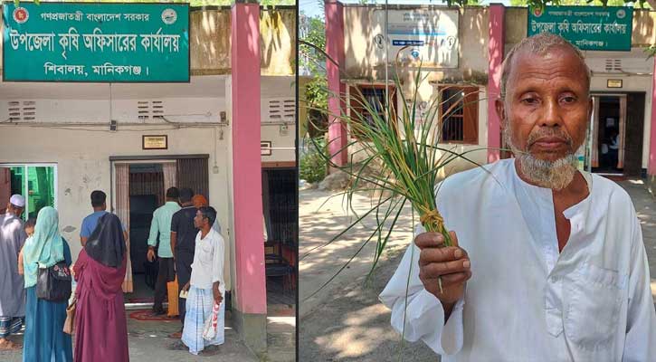 ‘আমি কি আপনার কামলা দেই’, পরামর্শ চাইতে আসা কৃষককে কৃষি কর্মকর্তা