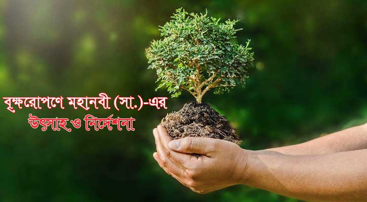 বৃক্ষরোপণে ইসলামের উৎসাহ ও নির্দেশনা