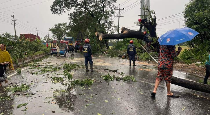 ঢাকা-চট্টগ্রাম মহাসড়কে গাছ পড়ে যান চলাচল বন্ধ