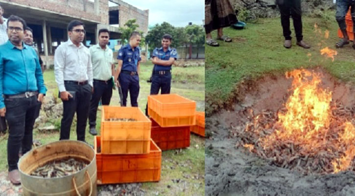 অপদ্রব‍্য পুশের দায়ে ব্যবসায়ীকে জরিমানা, ৬৬০ কেজি চিংড়ি বিনষ্ট