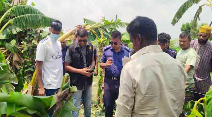 সিরাজগঞ্জে চালককে হত্যা করে অটোভ্যান ছিনতাই