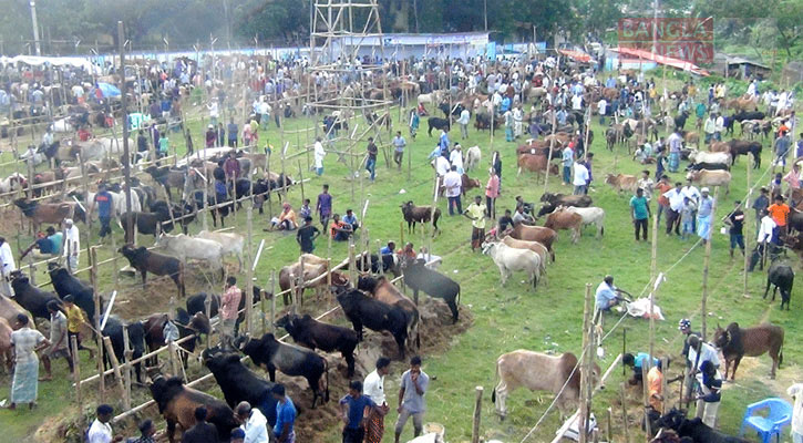 ‘৮০-৯০ হাজার টাকা মিলছে না পছন্দমতো পশু’