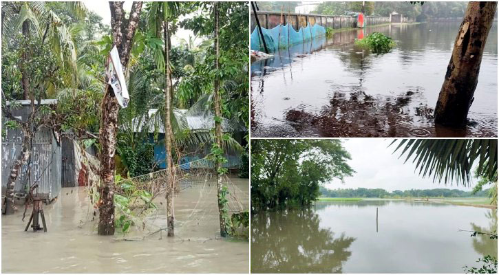 ভেসে গেছে পুকুরের মাছ, লক্ষ্মীপুরে মৎস্য খাতে ক্ষতি প্রায় ৮০ কোটি টাকার