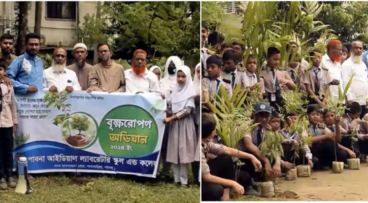 ছাত্র আন্দোলনে নিহত শহীদ শিক্ষার্থীদের স্মরণে পাবনায় বৃক্ষরোপণ