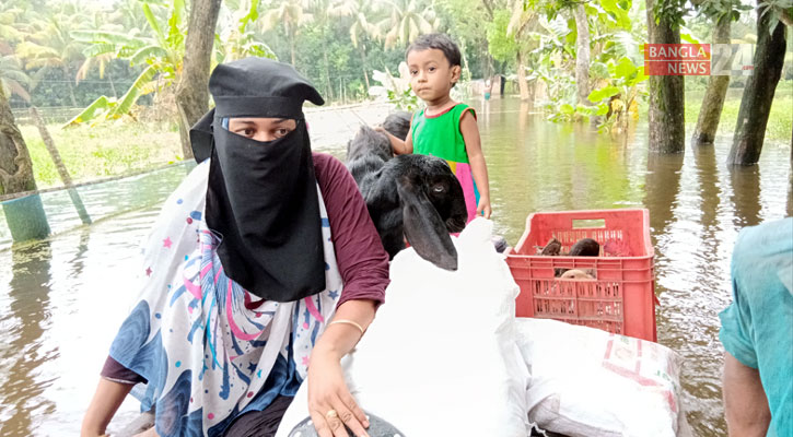 স্বামীর বাড়িতে পানি, বাপের বাড়িতেও পানি, কই যামু?