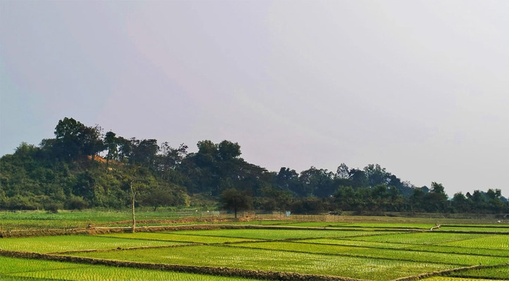 টেকনাফ সীমান্ত দিয়ে ফের রোহিঙ্গা অনুপ্রবেশ