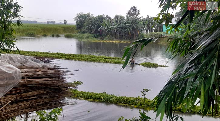 ফরিদপুরে টানা বৃষ্টিতে নিম্নাঞ্চল প্লাবিত, পানিবন্দি কয়েক হাজার পরিবার