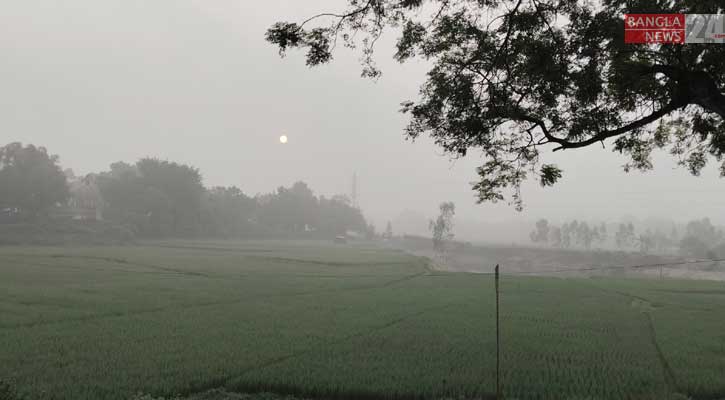 ঝড়-বৃষ্টি আর খরা শেষে ঠাকুরগাঁওয়ে আগাম শীতের বার্তা