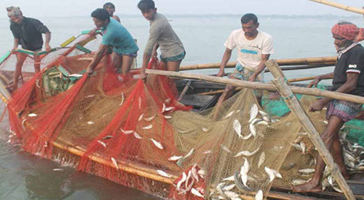 মধ্যরাত থেকে ২২ দিনের জন্য ইলিশ ধরা বন্ধ