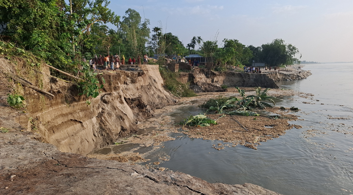 টাঙ্গাইলে অসময়ে যমুনার তীব্র ভাঙন, দিশেহারা ১৫ পরিবার