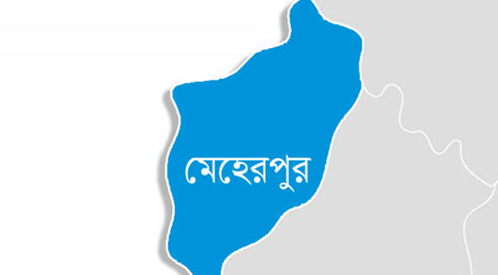 ভাইয়ের মৃত্যুর ৮ ঘণ্টা পর ছোট বোনের মৃত্যু, পরিবারে শোকের ছায়া